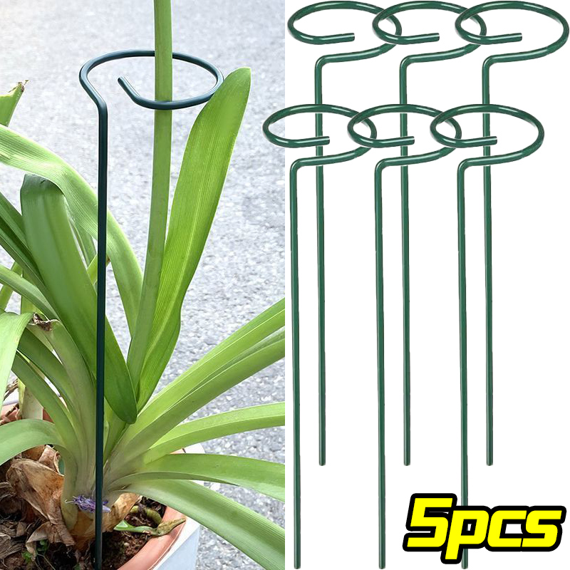 Anillo de estaca de soporte pa - Supply For Florist reseña y precio