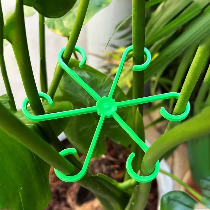 Estacas de soporte para tallo  - Supply For Florist reseña y precio