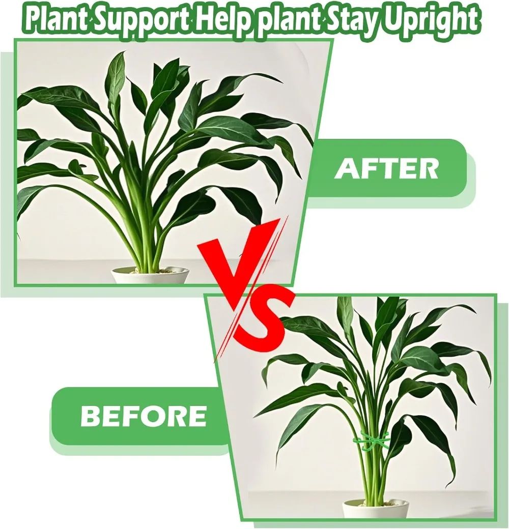 Estacas de soporte para tallo  - Supply For Florist reseña y precio