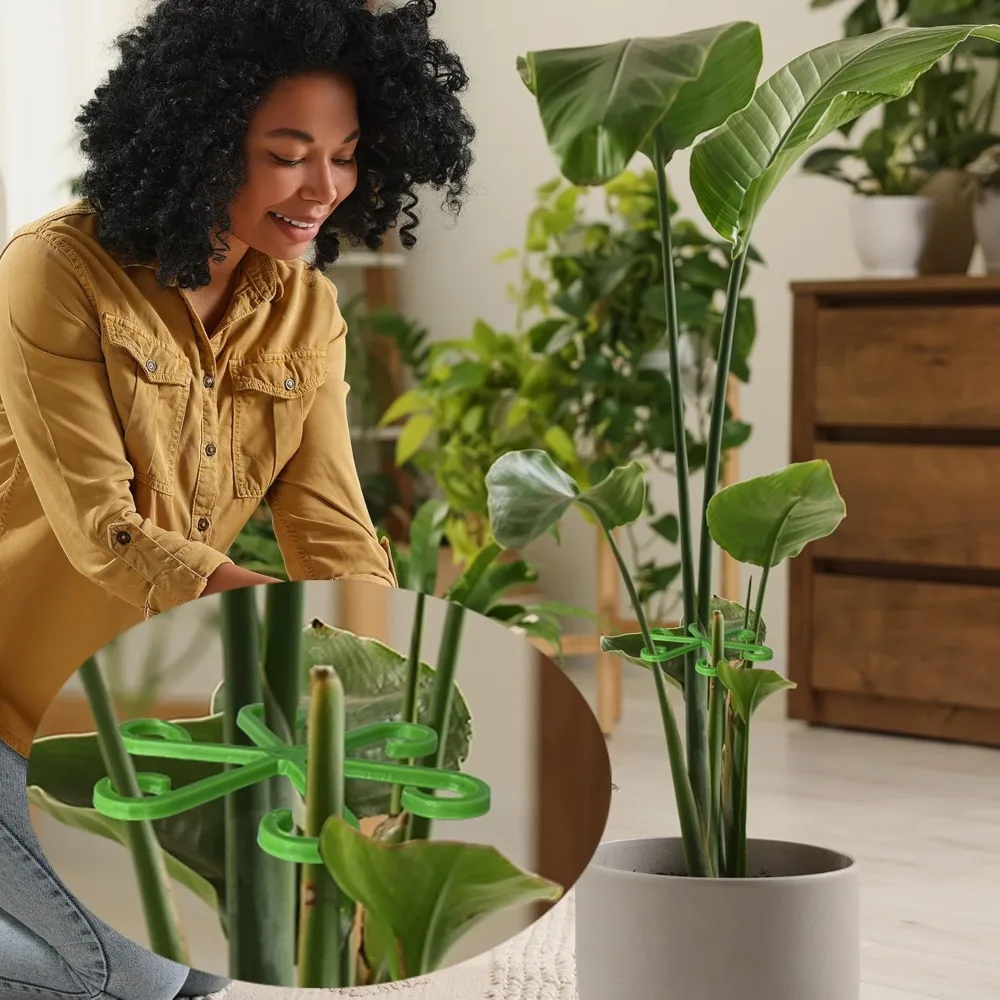 Estacas de soporte para tallo  - Supply For Florist reseña y precio