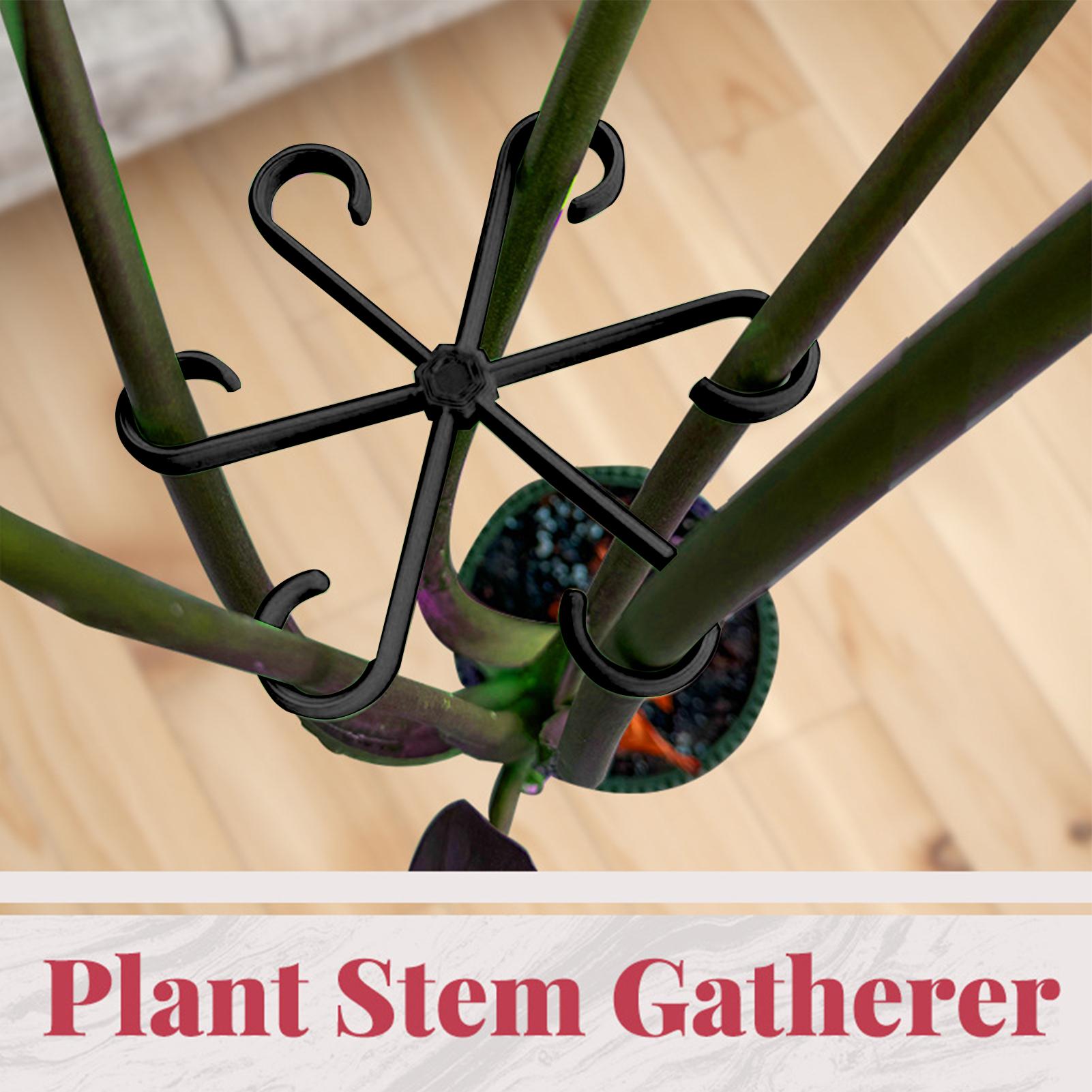 4 clips de soporte para tallos - Florist Supply Bulk reseña y precio