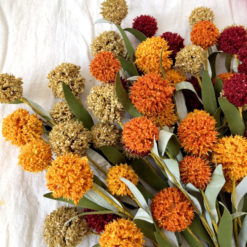 Cabeza de Flor Seca de Margari - Florist Supply Bulk reseña y precio