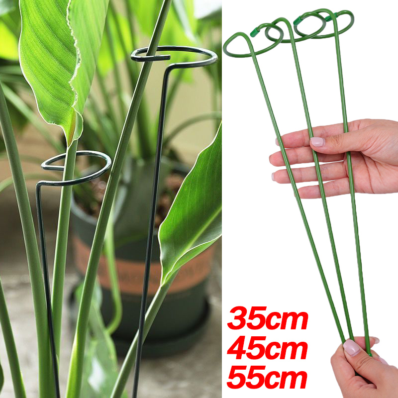 Soporte de arbustos para plant - Supply For Florist reseña y precio