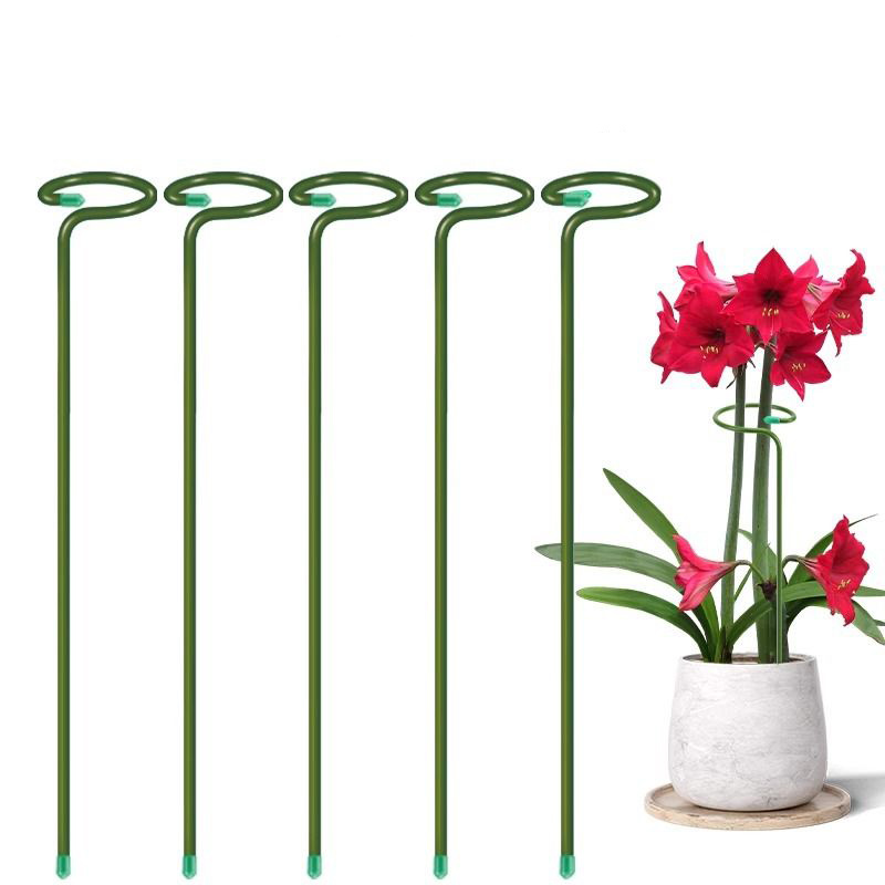 Soporte de arbustos para plant - Supply For Florist reseña y precio