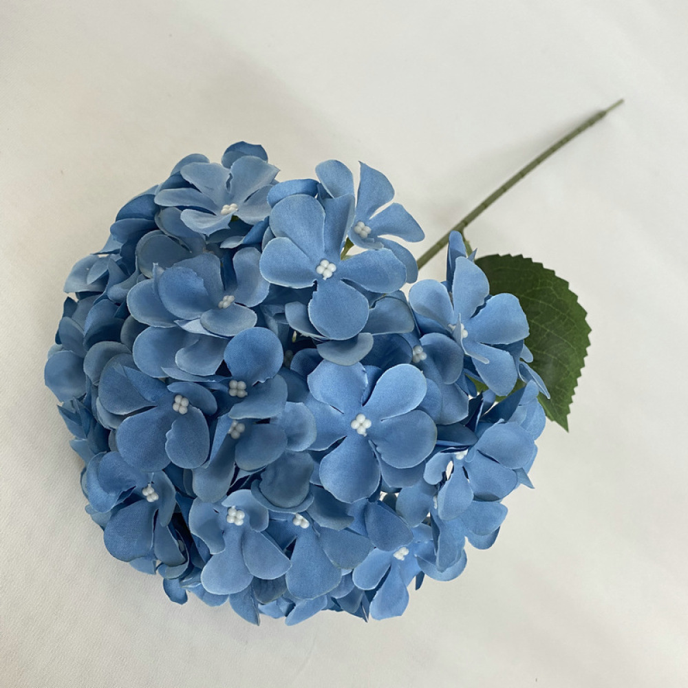 Hortensia Decorativa de Simula - Longs Florist Supply reseña y precio